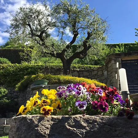 Tatil Evi Vivere A Incanto *